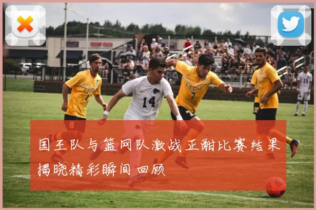 国王队与篮网队激战正酣比赛结果揭晓精彩瞬间回顾