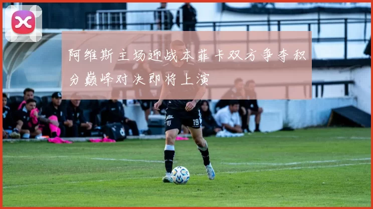 阿维斯主场迎战本菲卡双方争夺积分巅峰对决即将上演